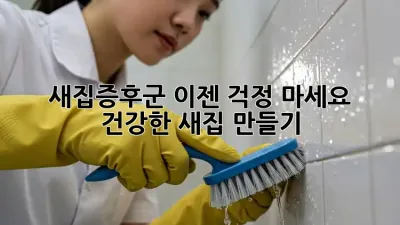 새집증후군, 이젠 걱정 마세요! 건강한 새집 만들기